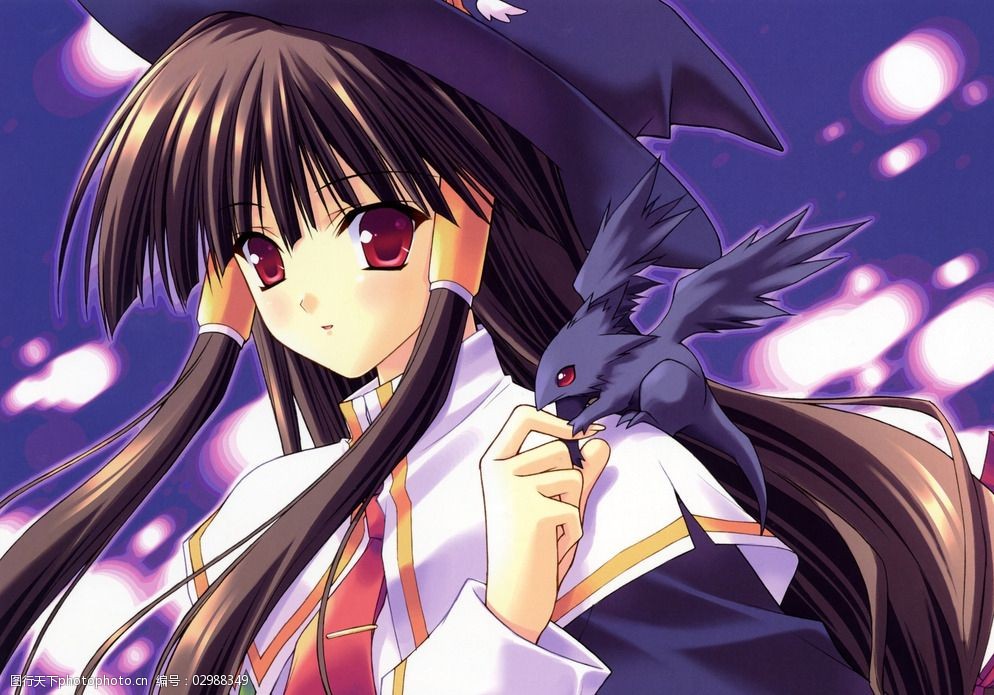 从卡通美女到动漫宇宙 设计图库中的灵感与艺术